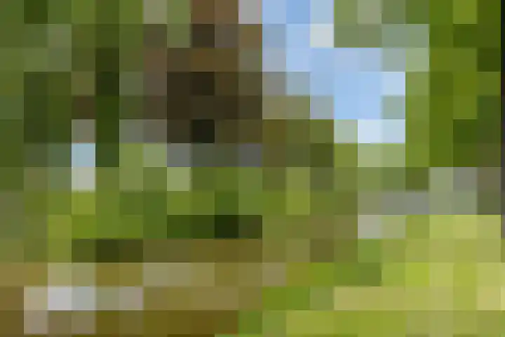 Dronensingel 123 Bodegraven thumbnail 43