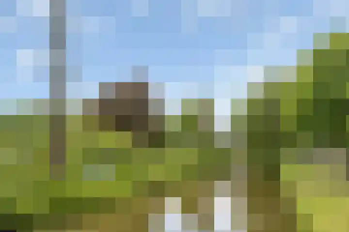 Dronensingel 123 Bodegraven thumbnail 45