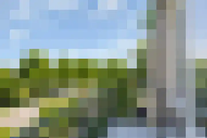 Dronensingel 123 Bodegraven thumbnail 5