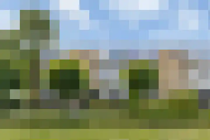 Dronensingel 123 Bodegraven thumbnail 7