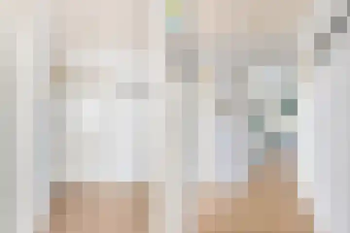 Dronensingel 123 Bodegraven thumbnail 9