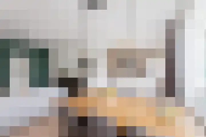 Dronensingel 141 Bodegraven thumbnail 13