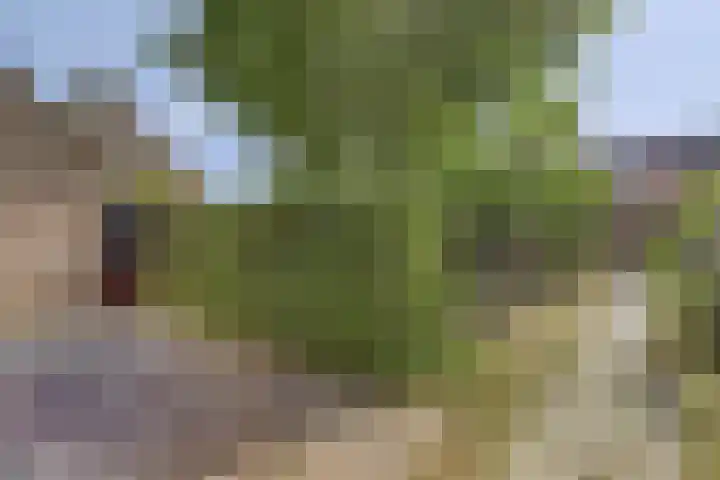 Dronensingel 141 Bodegraven thumbnail 17