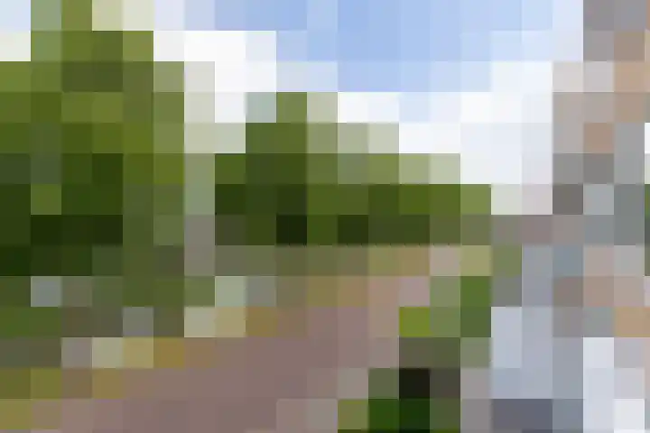 Dronensingel 141 Bodegraven thumbnail 20