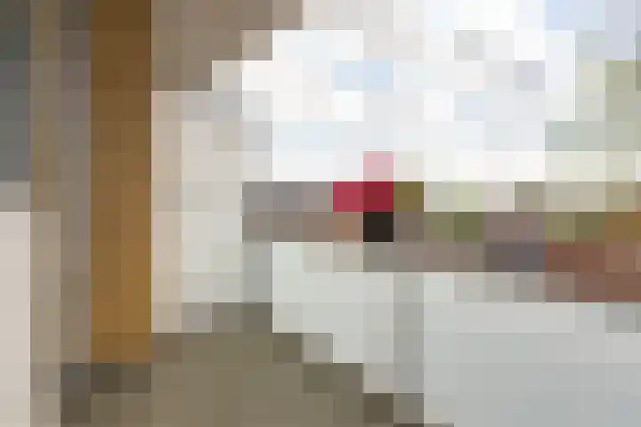 Dronensingel 141 Bodegraven thumbnail 24