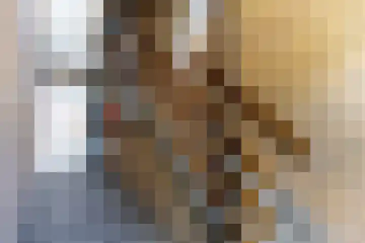 Dronensingel 141 Bodegraven thumbnail 4