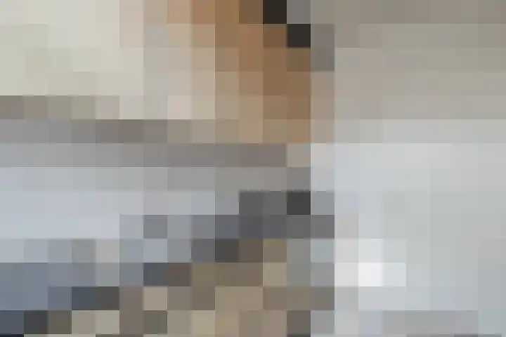 Dronenweg 29 Bodegraven thumbnail 11
