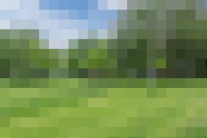 Dronenweg 29 Bodegraven thumbnail 41