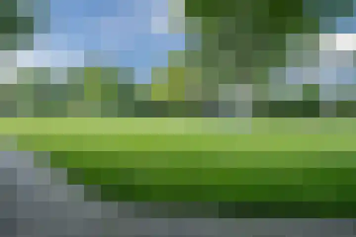 Dronenweg 29 Bodegraven thumbnail 42
