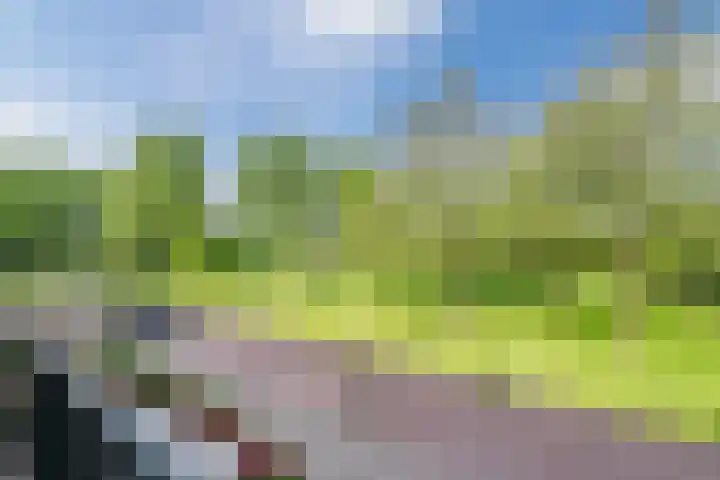 Dronenweg 29 Bodegraven thumbnail 5
