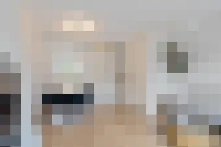 Drontermeer 18 Zoetermeer thumbnail 11