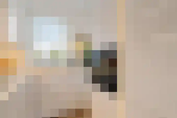 Drontermeer 18 Zoetermeer thumbnail 15