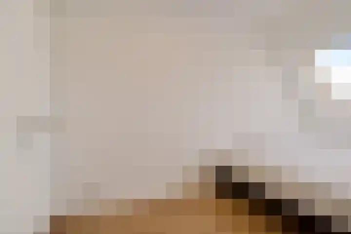 Drontermeer 18 Zoetermeer thumbnail 29