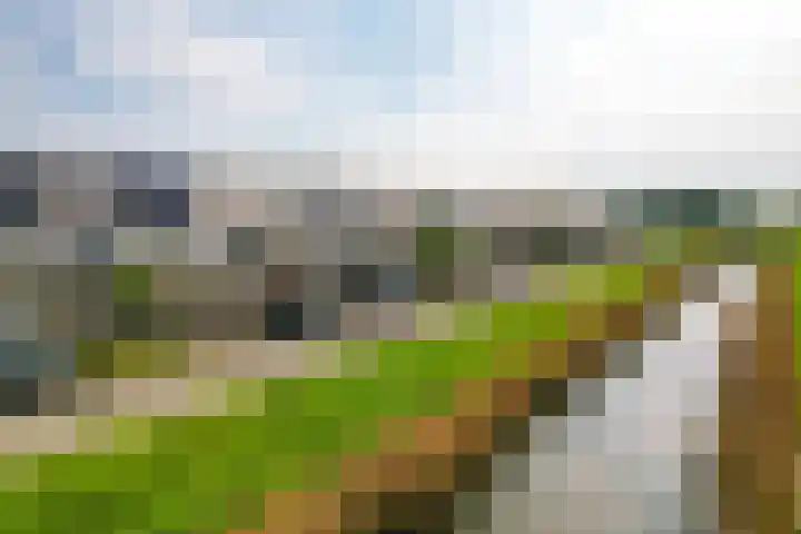 Drontermeer 18 Zoetermeer thumbnail 41
