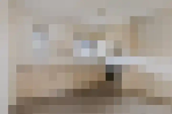 Drontermeer 7 Barendrecht thumbnail 12