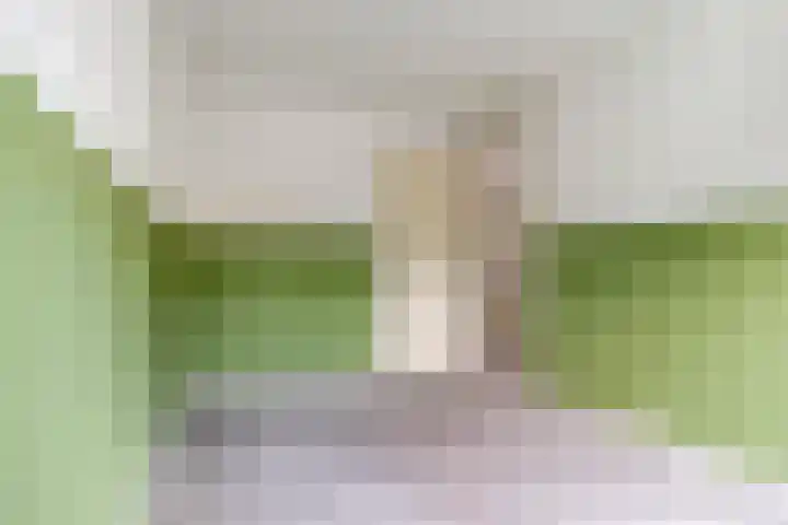 Drontermeer 7 Barendrecht thumbnail 20