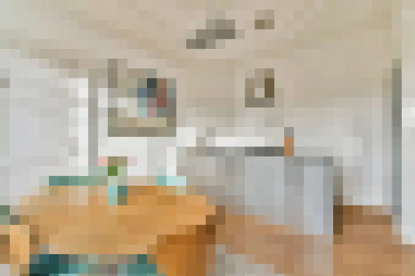 Droogbak 13 4 Amsterdam thumbnail 5