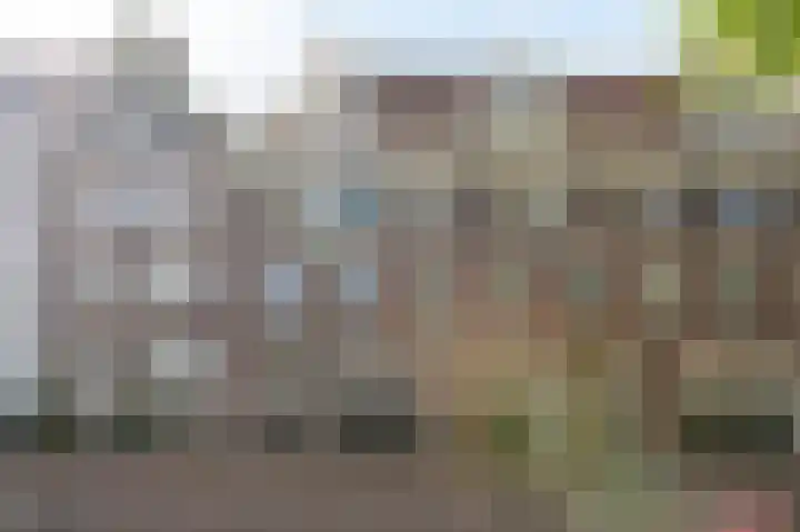 Droogbak 2 K Amsterdam thumbnail 20
