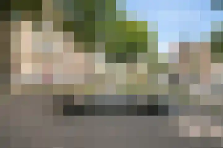 Droogbak 2 K Amsterdam thumbnail 22