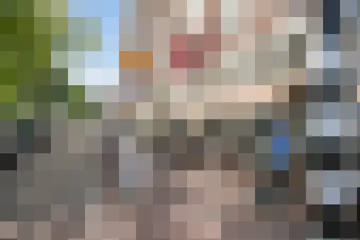Droogbak 2 K Amsterdam thumbnail 25