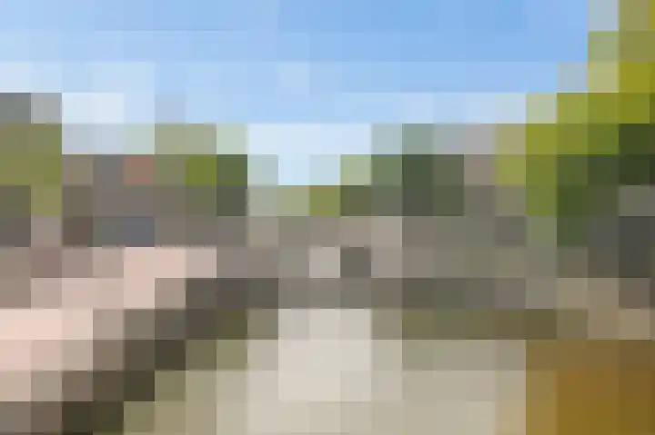 Droogbak 2 K Amsterdam thumbnail 27