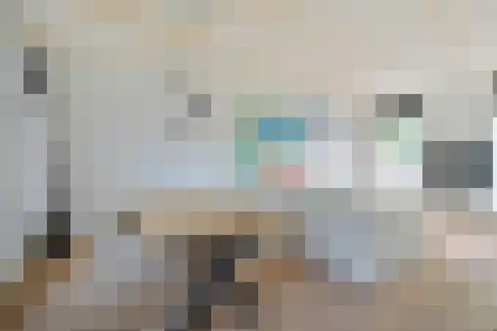Droogbak 2 K Amsterdam thumbnail 4