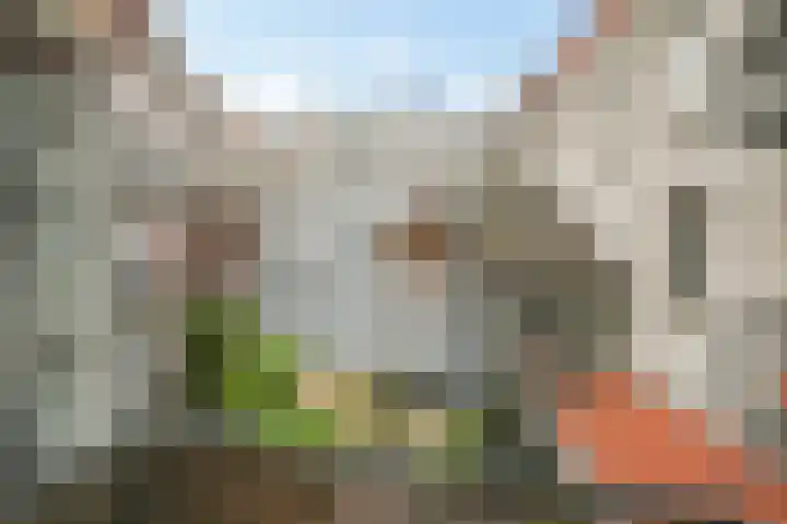 Droogbak 2 K Amsterdam thumbnail 7