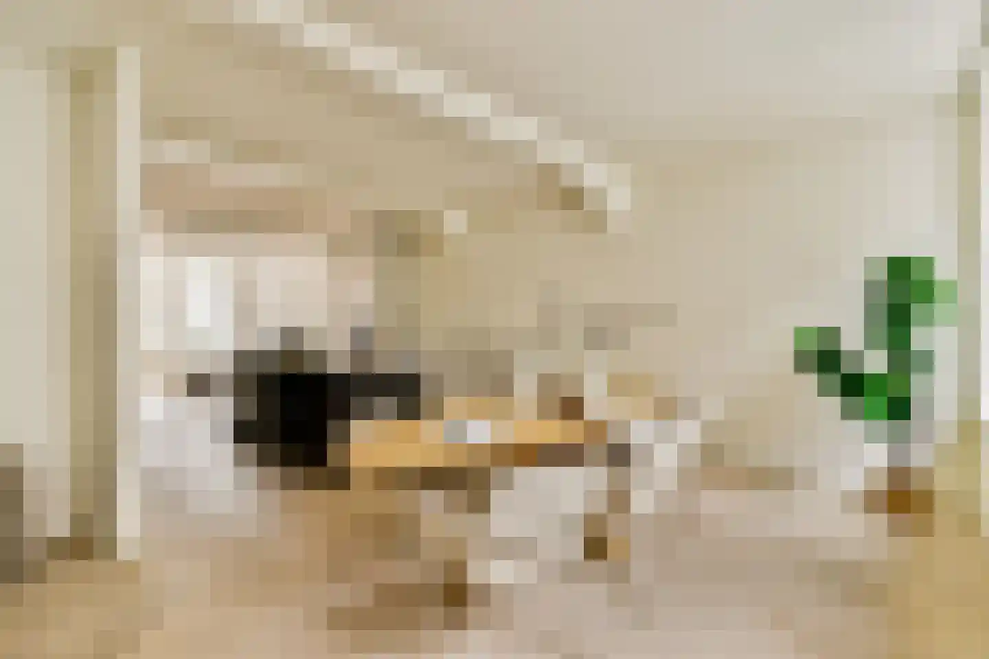 Droogbak 7 2 Amsterdam thumbnail 10