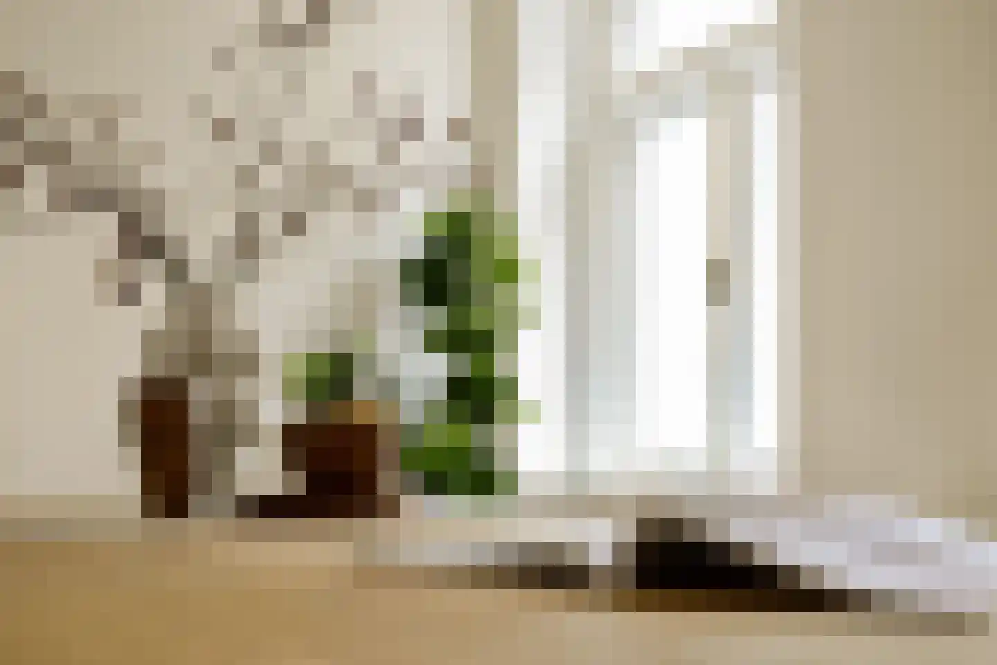 Droogbak 7 2 Amsterdam thumbnail 11