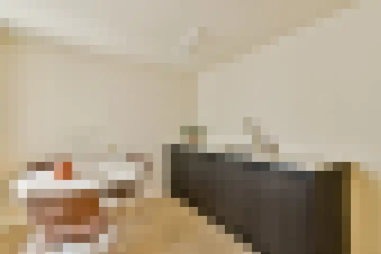 Droogbak 7 2 Amsterdam thumbnail 12