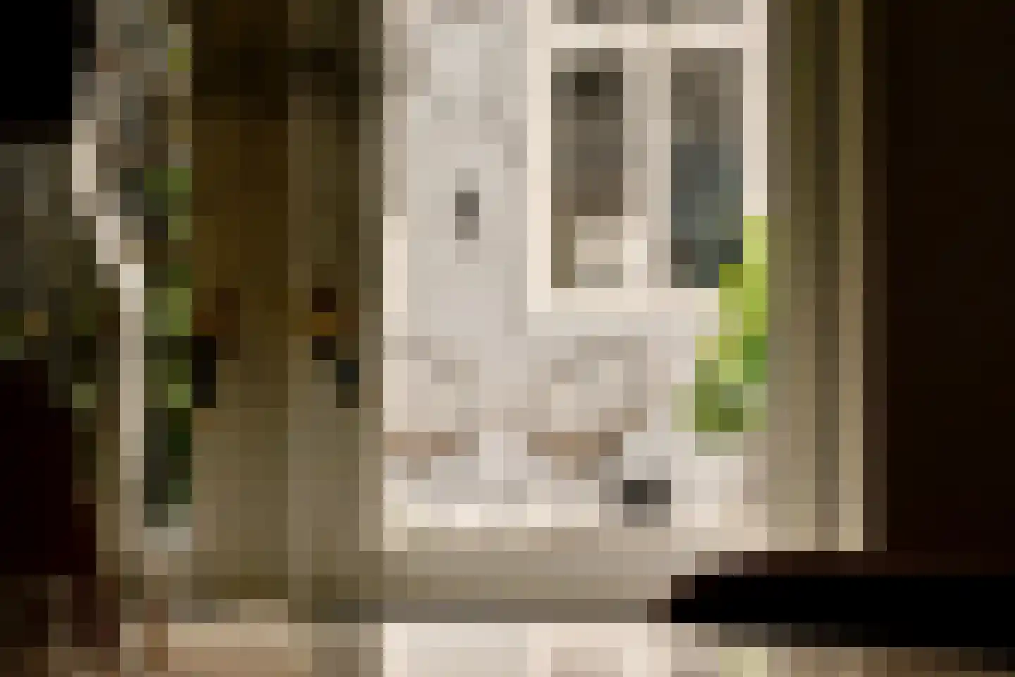 Droogbak 7 2 Amsterdam thumbnail 14