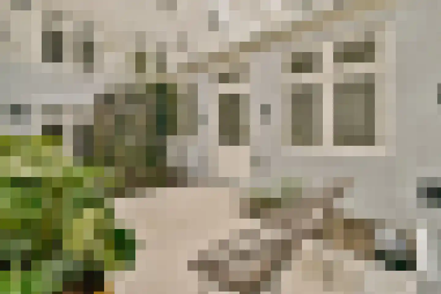 Droogbak 7 2 Amsterdam thumbnail 15