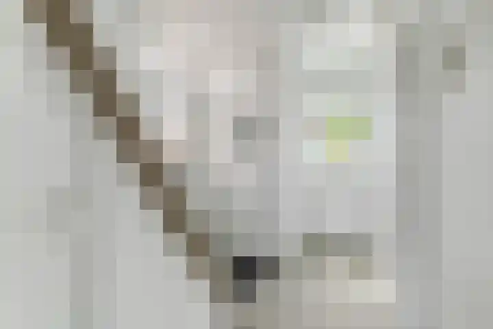 Droogbak 7 2 Amsterdam thumbnail 16