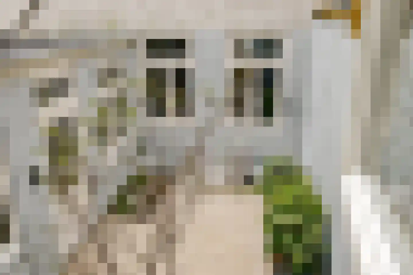 Droogbak 7 2 Amsterdam thumbnail 16
