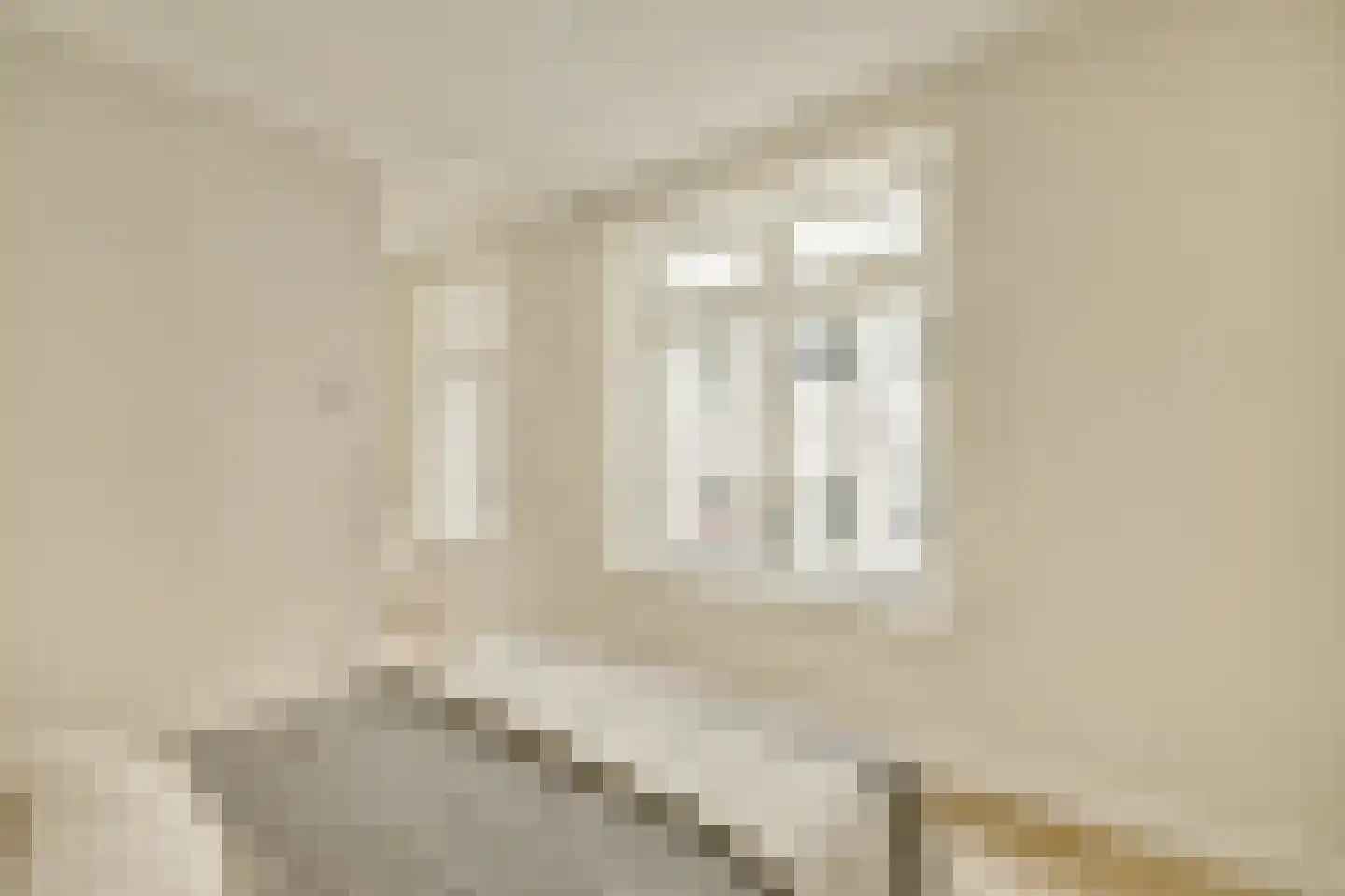 Droogbak 7 2 Amsterdam thumbnail 18