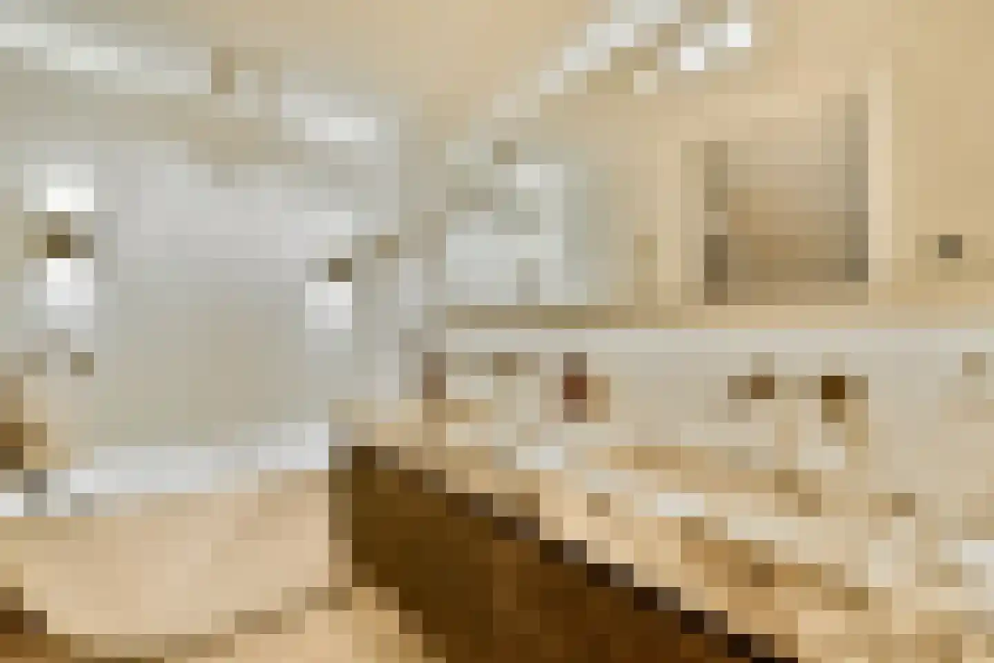 Droogbak 7 2 Amsterdam thumbnail 22