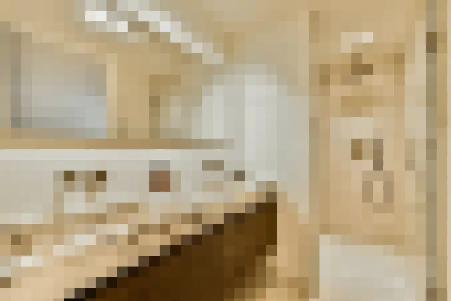 Droogbak 7 2 Amsterdam thumbnail 23