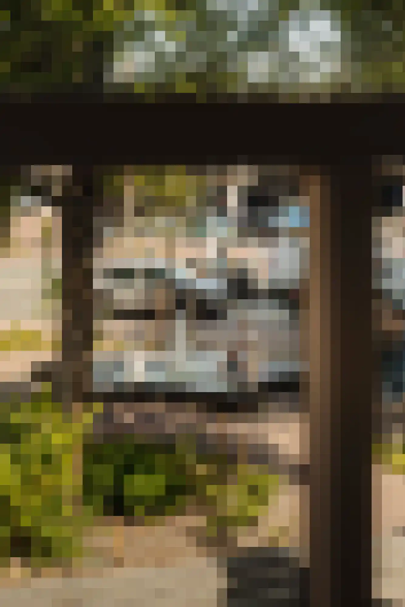 Droogbak 7 2 Amsterdam thumbnail 33