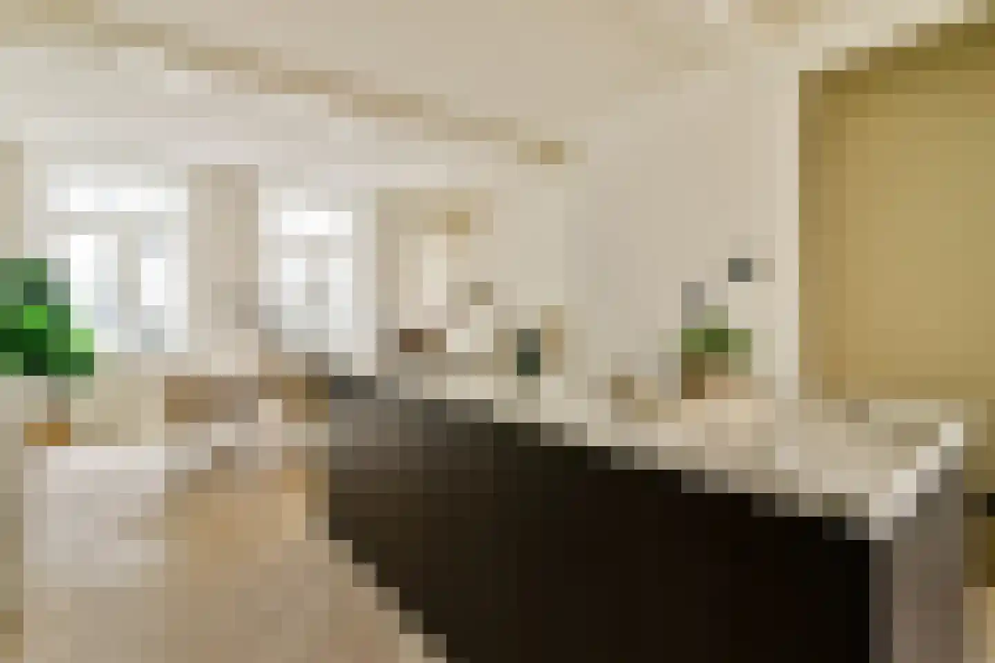 Droogbak 7 2 Amsterdam thumbnail 6