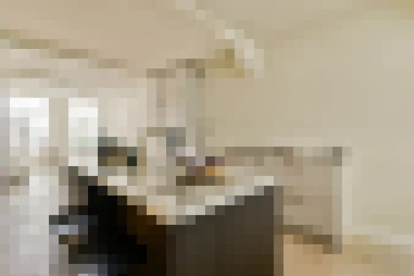 Droogbak 7 2 Amsterdam thumbnail 7