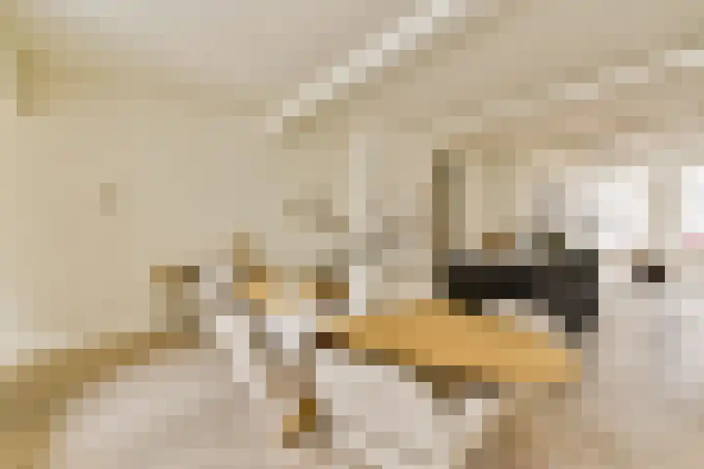 Droogbak 7 2 Amsterdam thumbnail 9