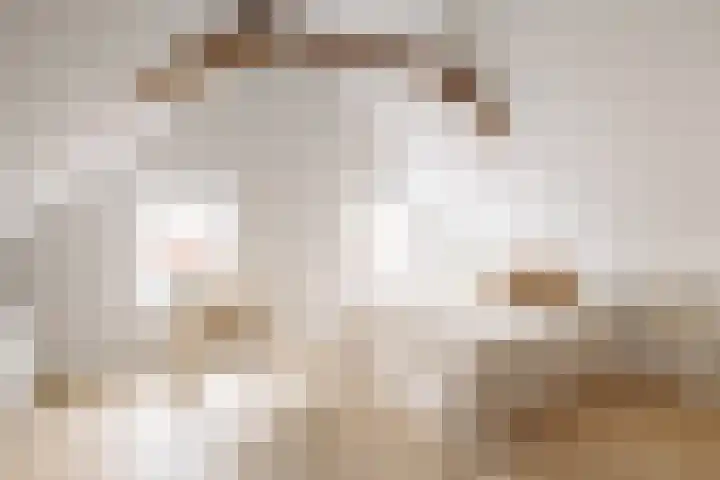 Droogbak 8 3 Amsterdam thumbnail 11