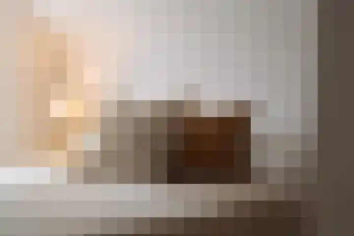 Droogbak 8 3 Amsterdam thumbnail 14