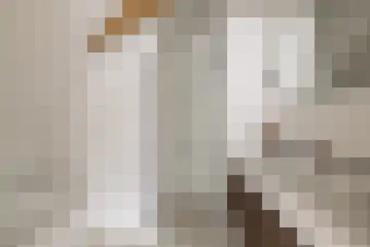 Droogbak 8 3 Amsterdam thumbnail 15