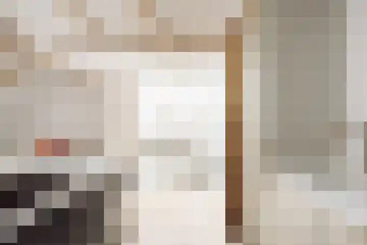 Droogbak 8 3 Amsterdam thumbnail 4