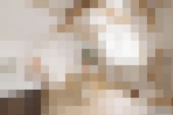 Droogbak 8 3 Amsterdam thumbnail 6
