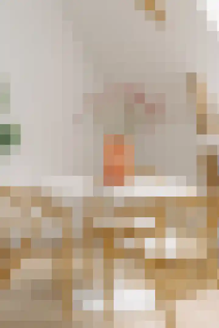 Droogbak 8 3 Amsterdam thumbnail 7