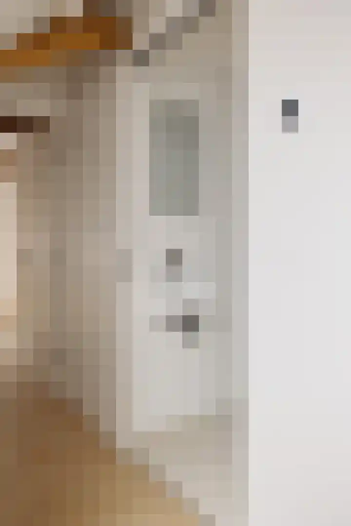 Droogbak 8 3 Amsterdam thumbnail 9