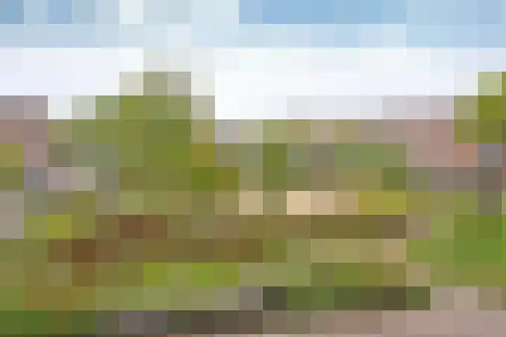 Droogdok 50 Huizen thumbnail 10