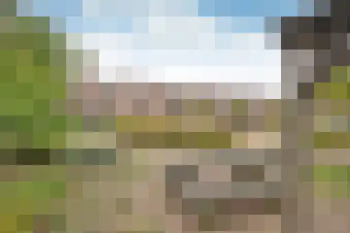 Droogdok 50 Huizen thumbnail 11